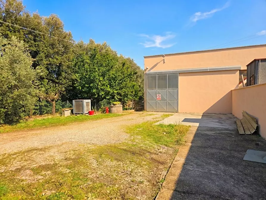 Immagine 1 di Attività artigianale in vendita  a Casciana Terme Lari