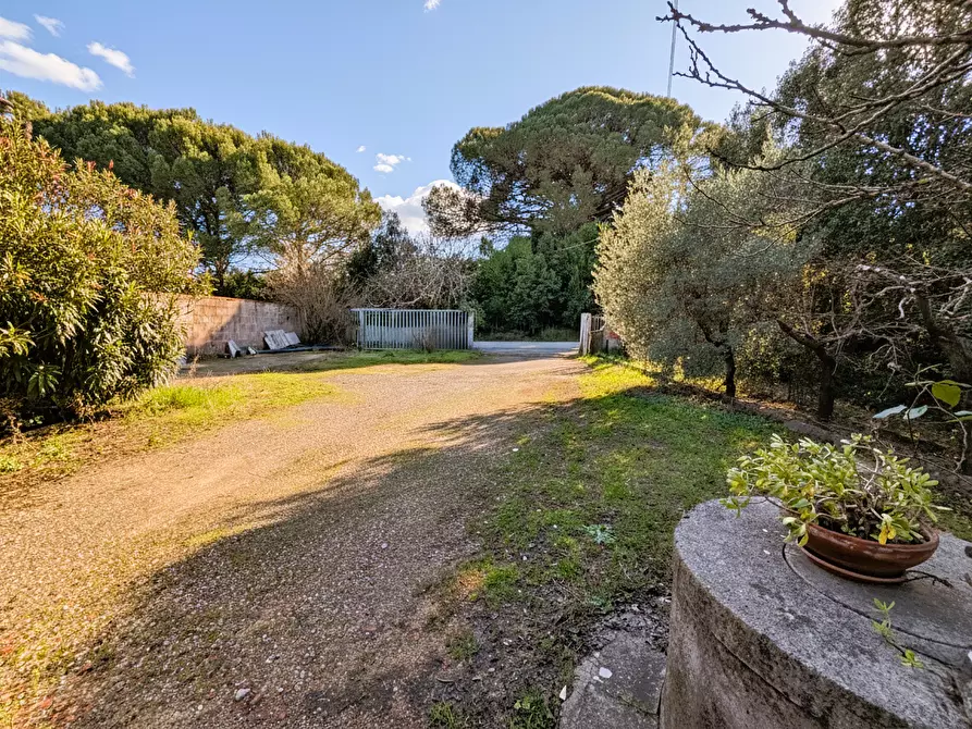 Immagine 2 di Attività artigianale in vendita  a Casciana Terme Lari