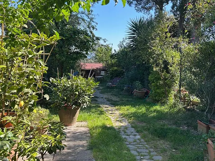 Immagine 4 di Terratetto in vendita  a Empoli