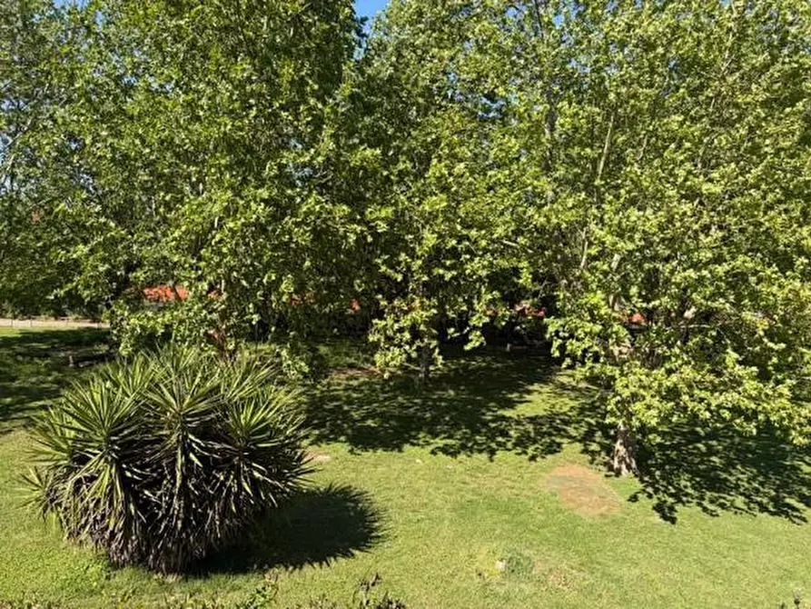 Immagine 36 di Casa bifamiliare in vendita  a Pisa