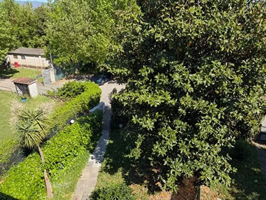 Immagine 52 di Casa bifamiliare in vendita  a Pisa