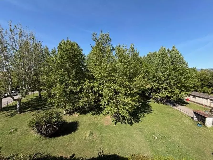 Immagine 26 di Casa bifamiliare in vendita  a Pisa