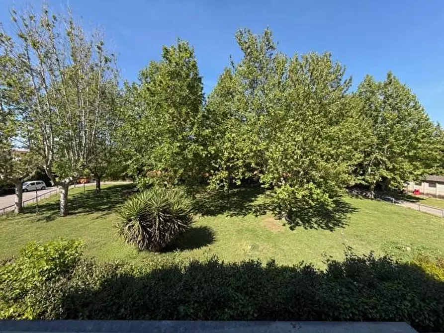 Immagine 12 di Casa bifamiliare in vendita  a Pisa
