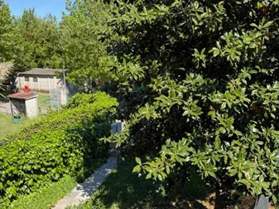Immagine 2 di Casa bifamiliare in vendita  a Pisa