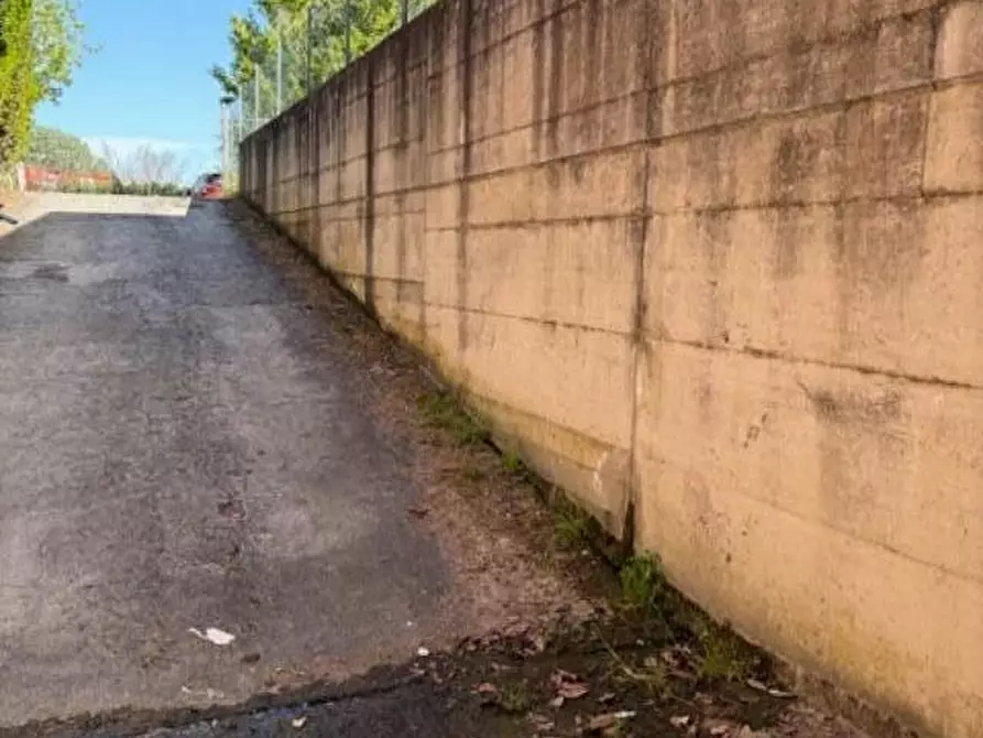 Immagine 33 di Casa bifamiliare in vendita  a Pisa