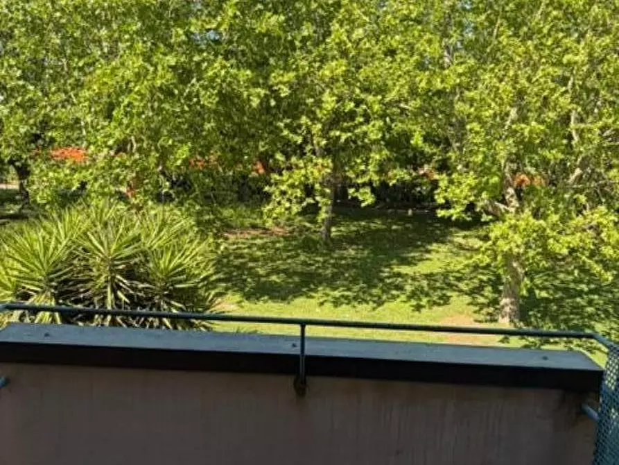 Immagine 38 di Casa bifamiliare in vendita  a Pisa