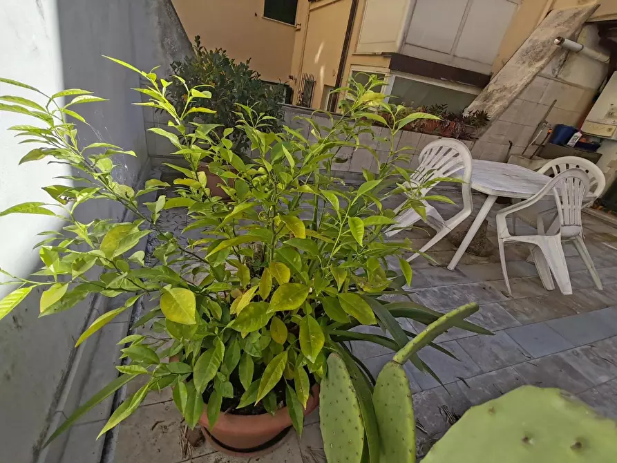 Immagine 20 di Appartamento in vendita  a Massa