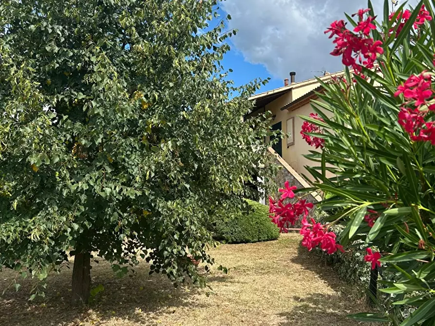 Immagine 3 di Appartamento in vendita  a Santa Luce