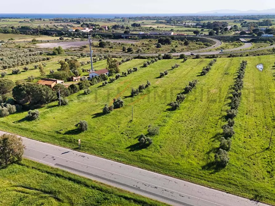 Immagine 1 di Terreno agricolo in vendita  a Piombino