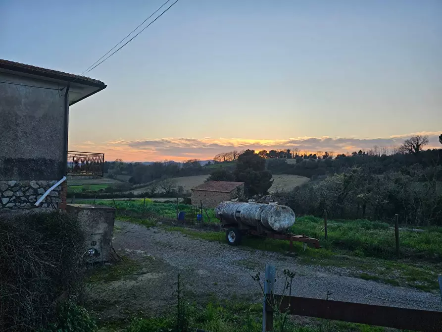 Immagine 18 di Rustico / casale in vendita  a Crespina Lorenzana