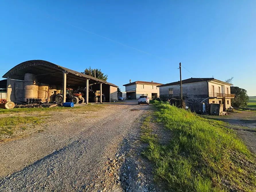 Immagine 14 di Rustico / casale in vendita  a Crespina Lorenzana