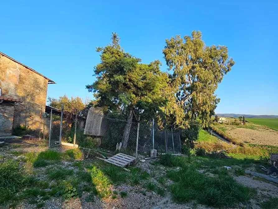 Immagine 4 di Rustico / casale in vendita  a Crespina Lorenzana
