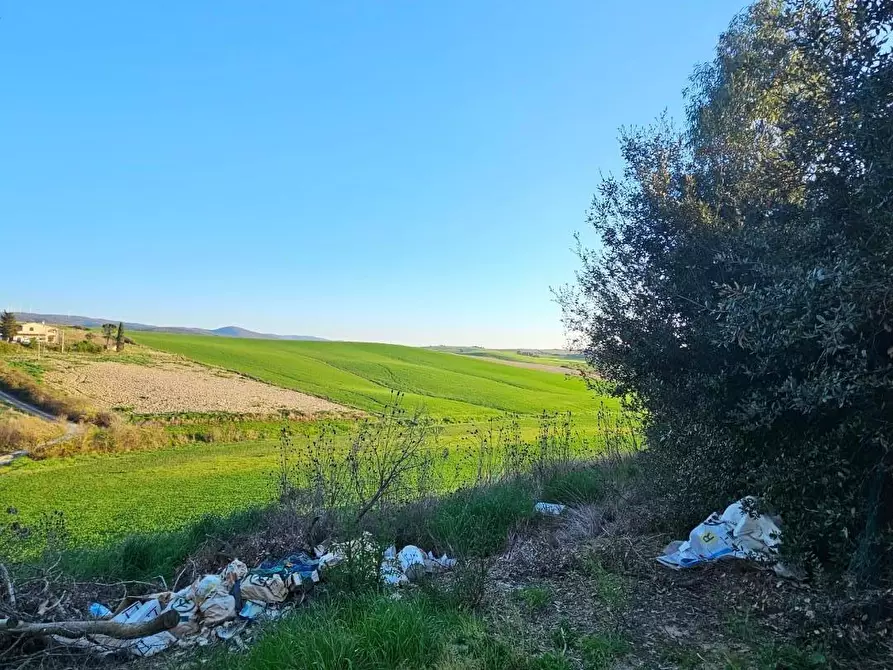 Immagine 6 di Rustico / casale in vendita  a Crespina Lorenzana