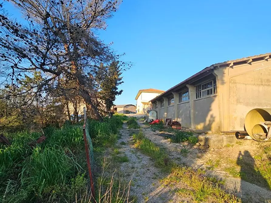 Immagine 10 di Rustico / casale in vendita  a Crespina Lorenzana