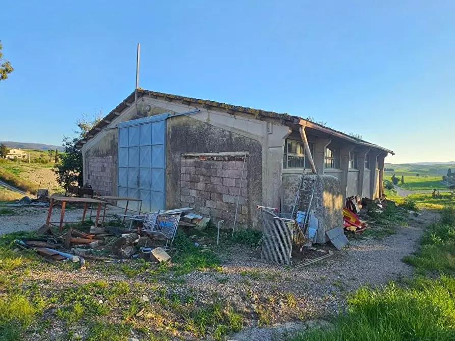 Immagine 9 di Rustico / casale in vendita  a Crespina Lorenzana