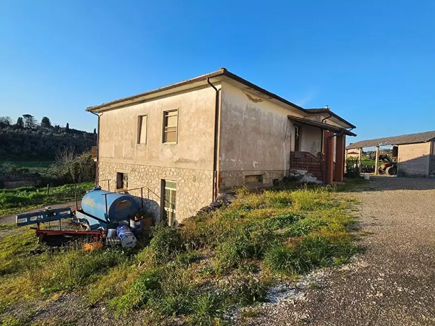 Immagine 2 di Rustico / casale in vendita  a Crespina Lorenzana