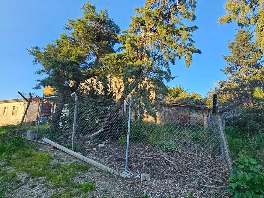 Immagine 7 di Rustico / casale in vendita  a Crespina Lorenzana