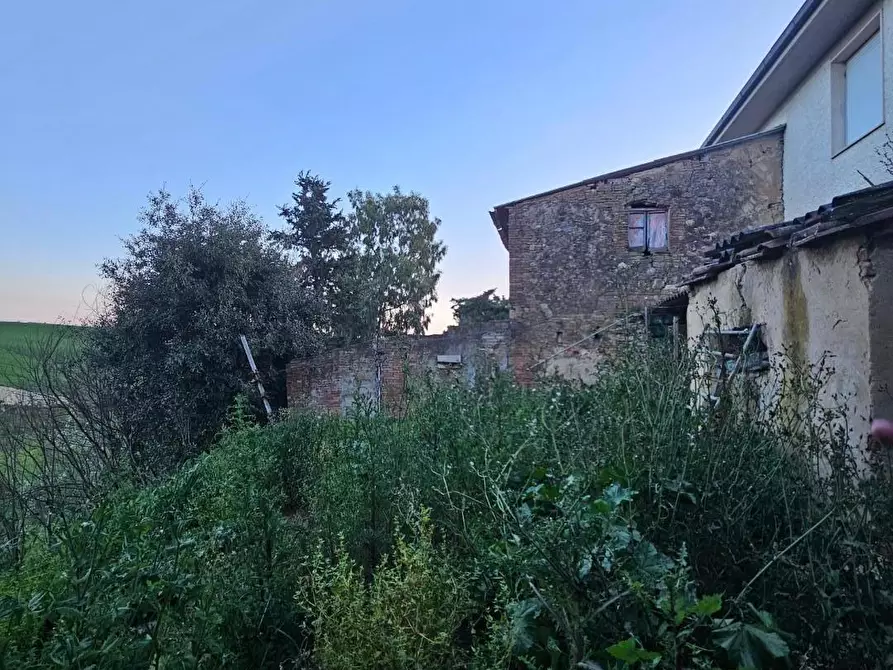 Immagine 15 di Rustico / casale in vendita  a Crespina Lorenzana