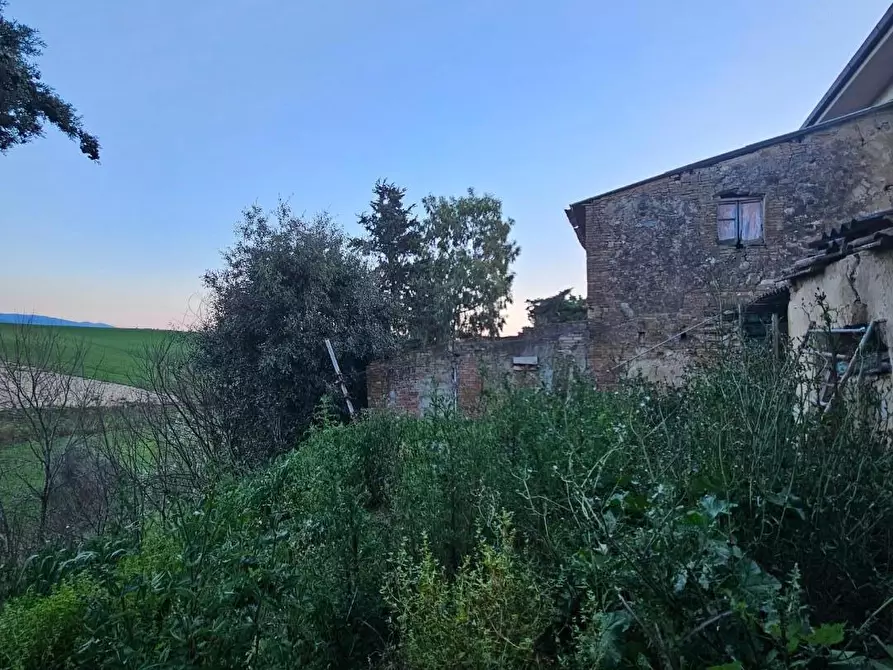 Immagine 16 di Rustico / casale in vendita  a Crespina Lorenzana