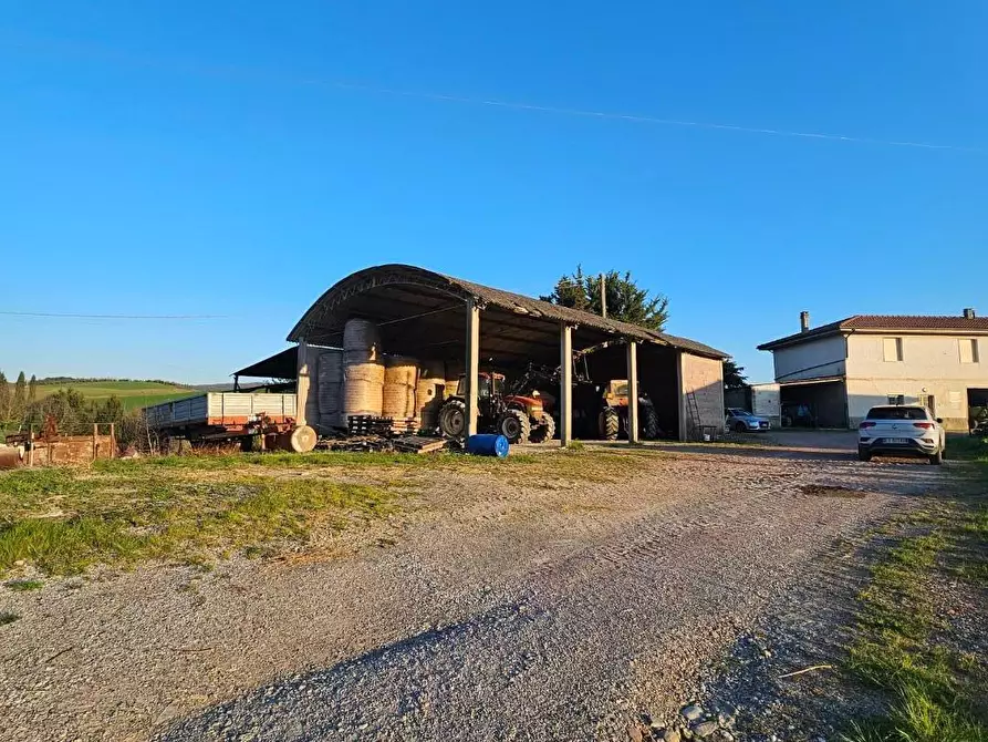 Immagine 13 di Rustico / casale in vendita  a Crespina Lorenzana