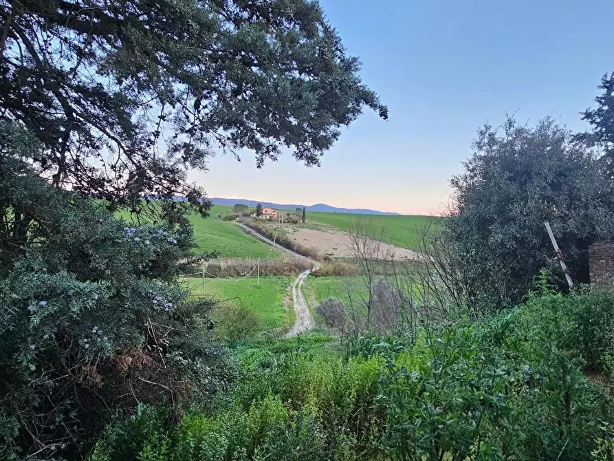 Immagine 17 di Rustico / casale in vendita  a Crespina Lorenzana
