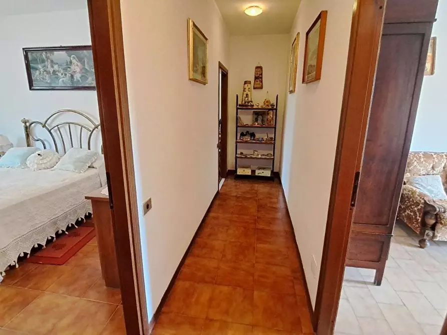 Immagine 10 di Appartamento in vendita  a Rosignano Marittimo