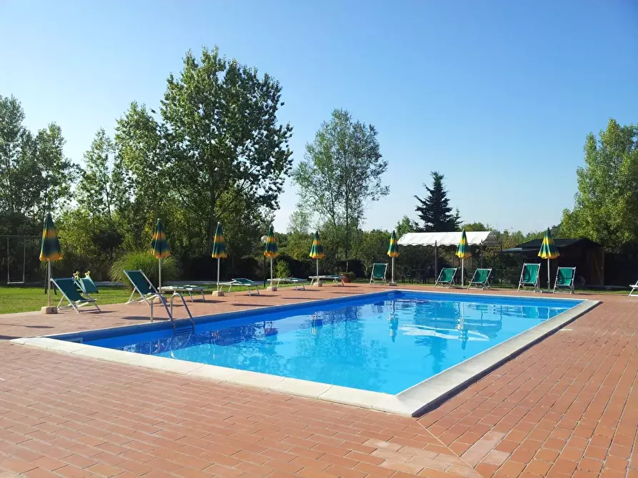 Immagine 3 di Casa colonica in vendita  a Terricciola