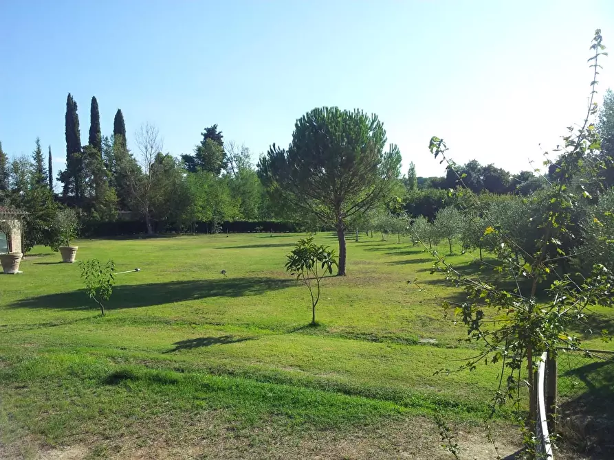 Immagine 4 di Casa colonica in vendita  a Terricciola