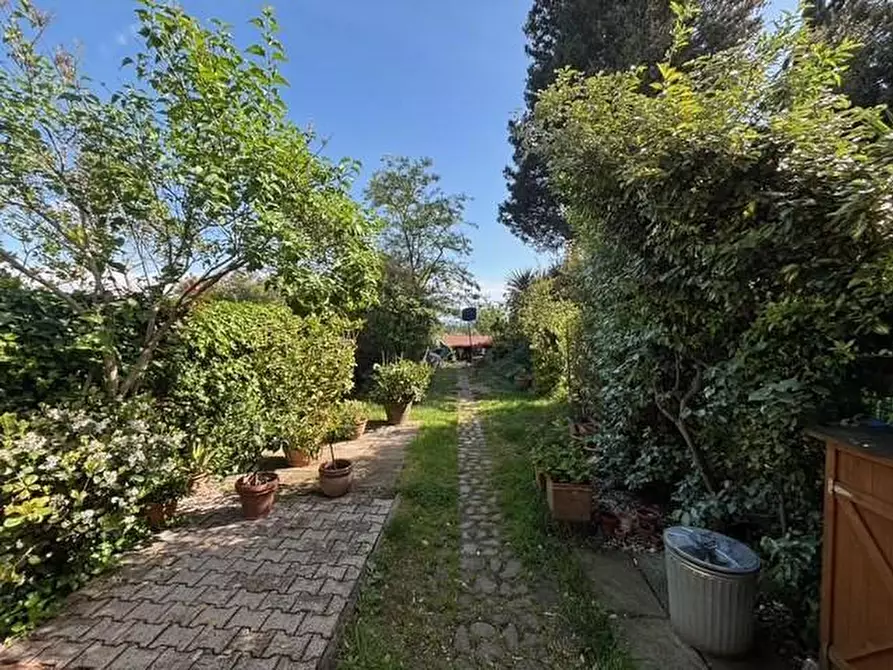 Immagine 28 di Terratetto in vendita  a Empoli