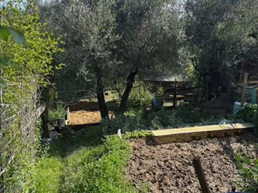 Immagine 22 di Terratetto in vendita  a Empoli