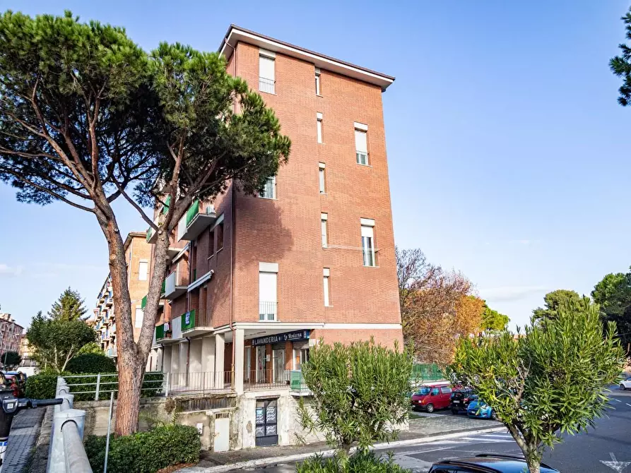 Immagine 26 di Appartamento in vendita  a Pisa