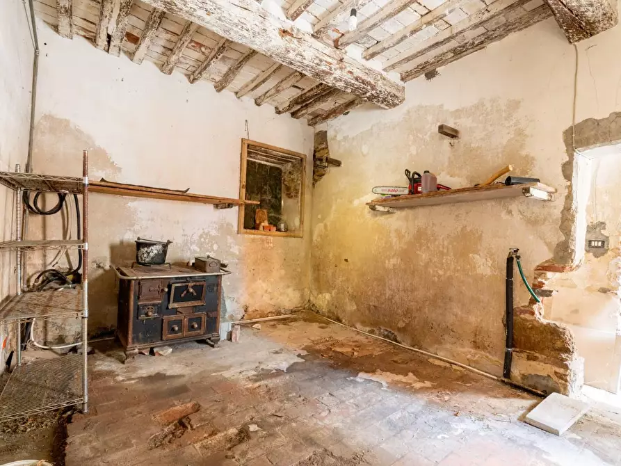 Immagine 35 di Terratetto in vendita  a Buti