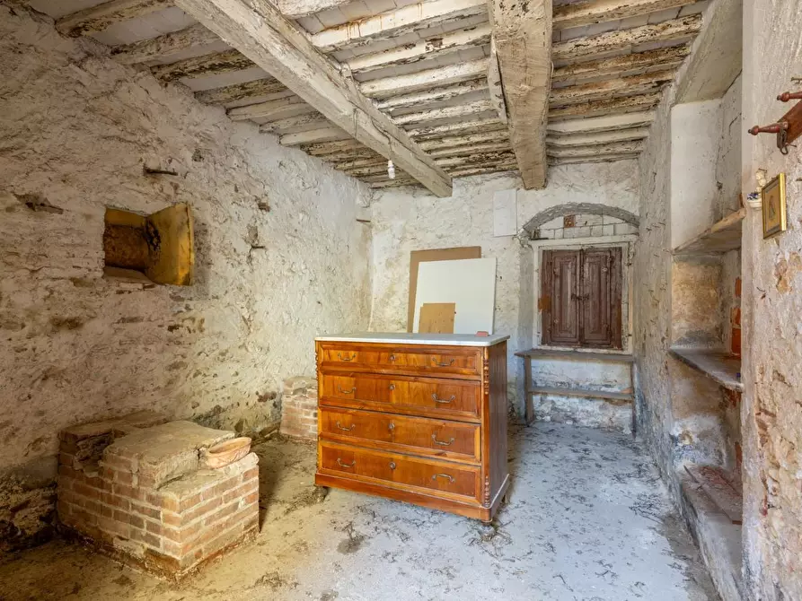 Immagine 38 di Terratetto in vendita  a Buti