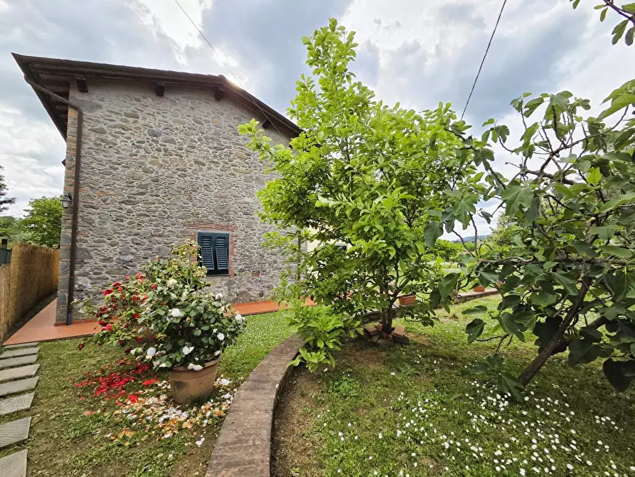 Immagine 49 di Villa in vendita  a Capannori