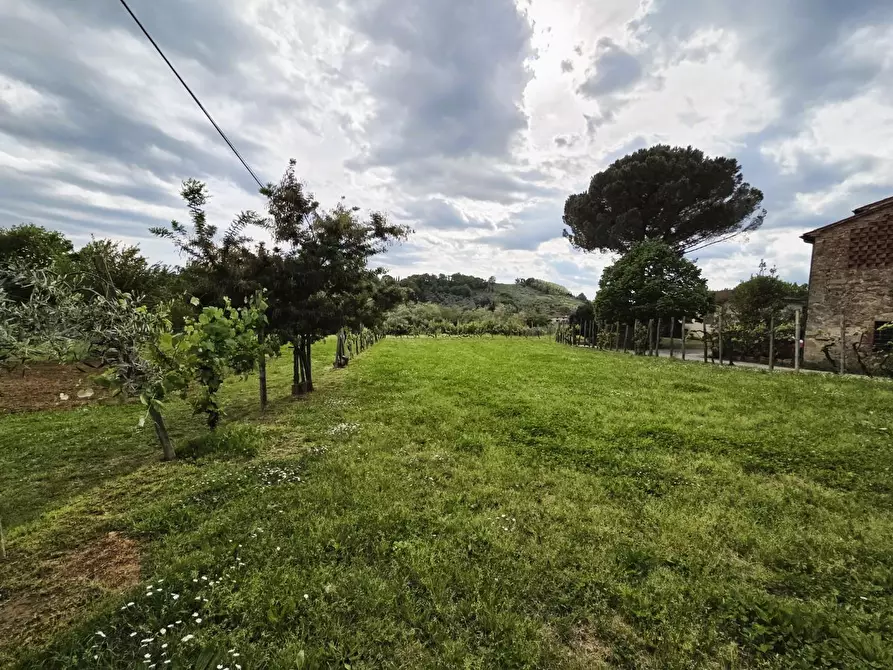 Immagine 60 di Villa in vendita  a Capannori