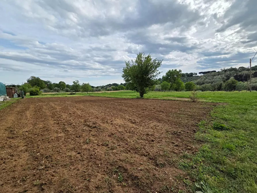 Immagine 63 di Villa in vendita  a Capannori