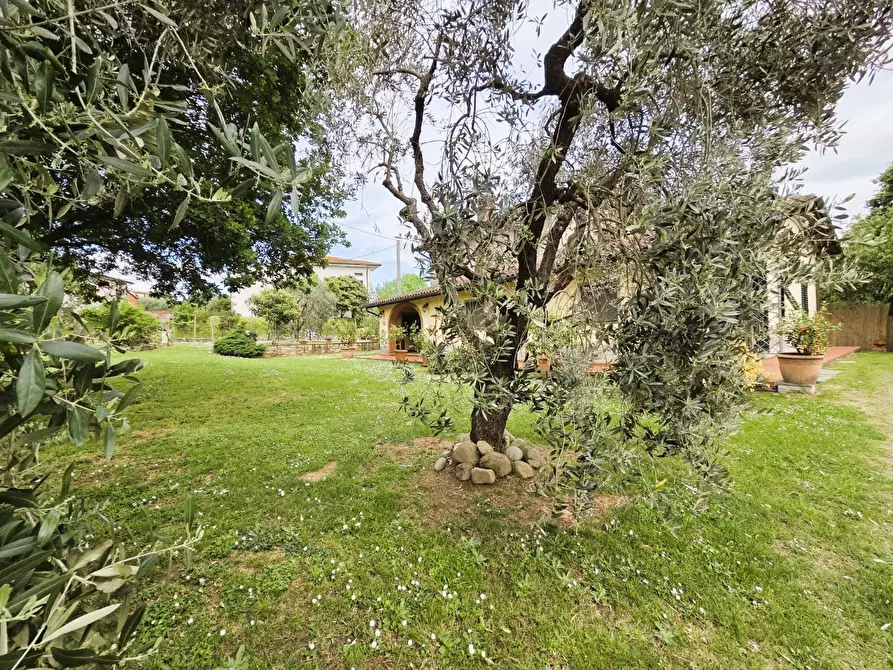 Immagine 55 di Villa in vendita  a Capannori