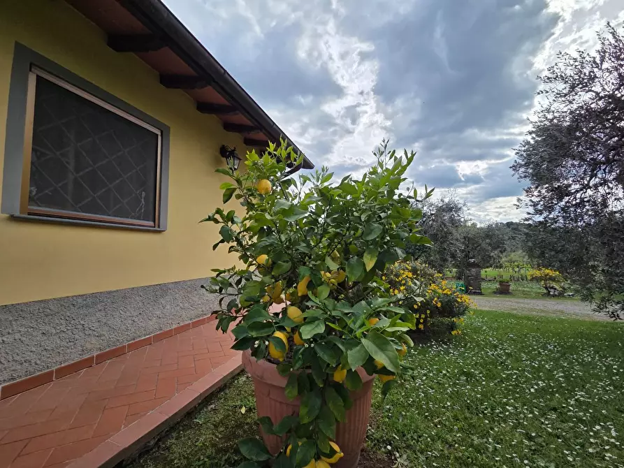 Immagine 57 di Villa in vendita  a Capannori