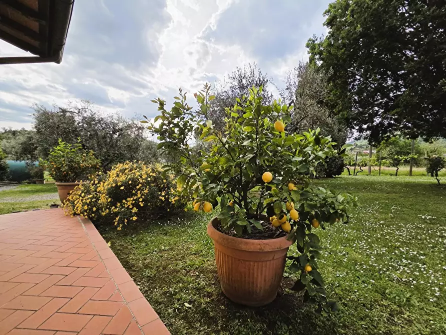 Immagine 56 di Villa in vendita  a Capannori