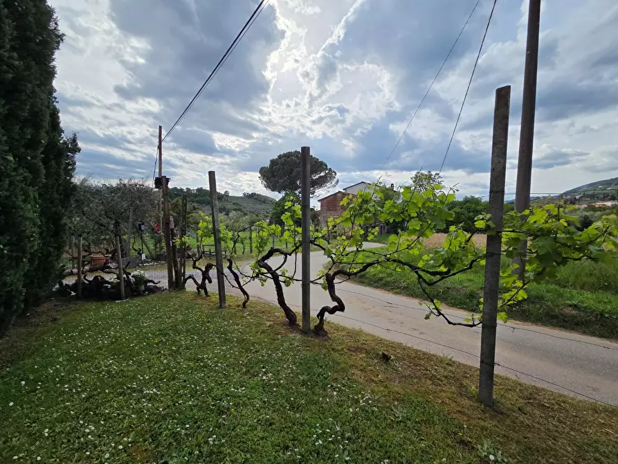 Immagine 59 di Villa in vendita  a Capannori