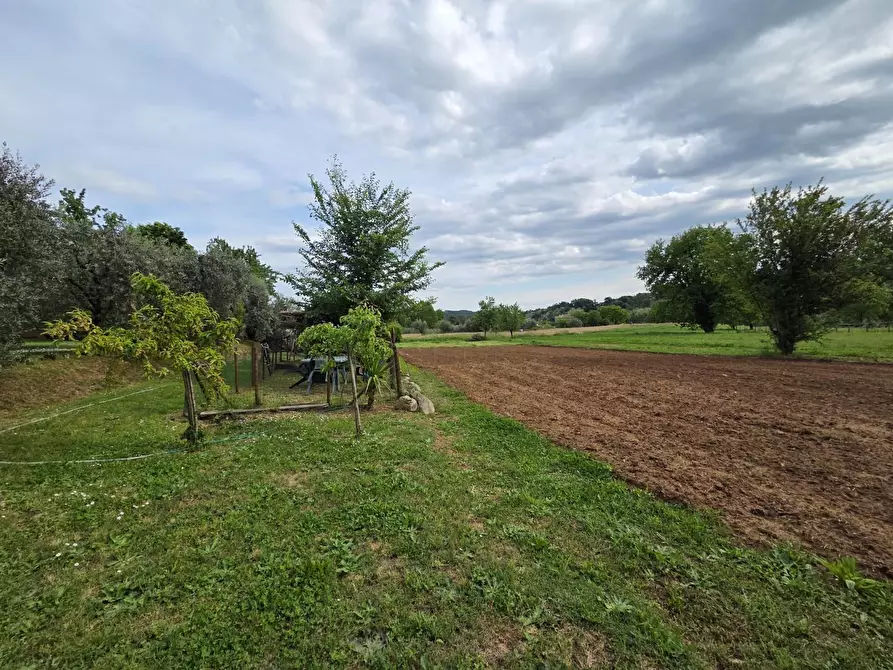 Immagine 61 di Villa in vendita  a Capannori