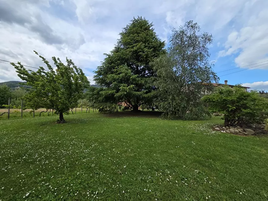 Immagine 41 di Villa in vendita  a Capannori