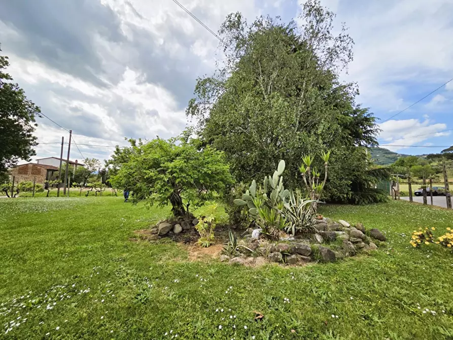 Immagine 48 di Villa in vendita  a Capannori