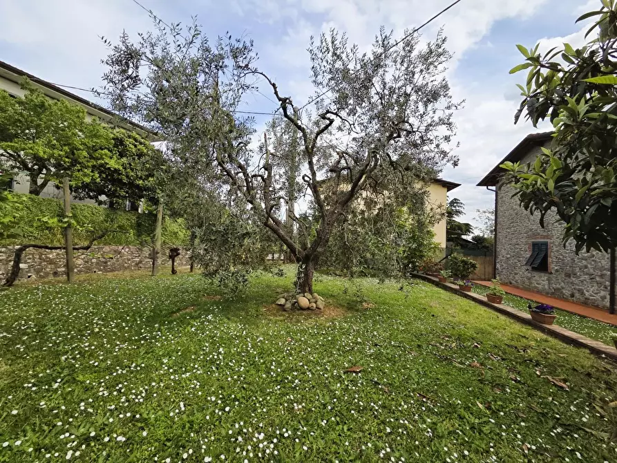 Immagine 45 di Villa in vendita  a Capannori