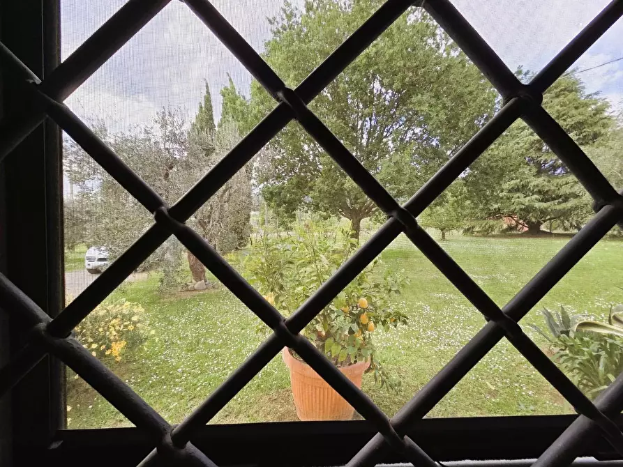 Immagine 18 di Villa in vendita  a Capannori