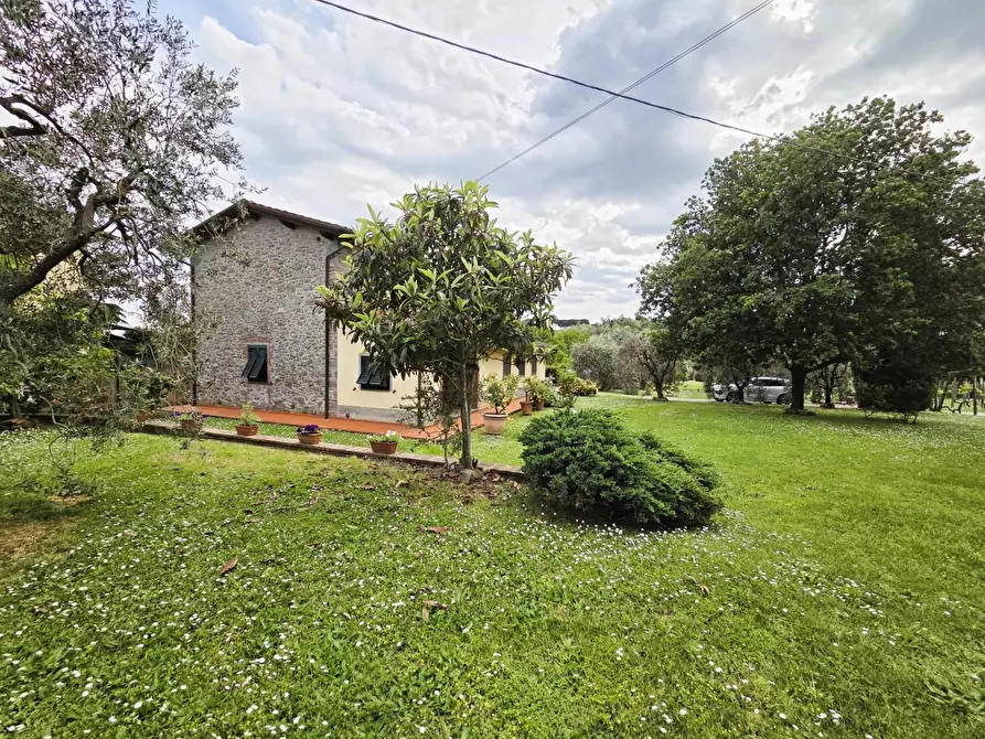 Immagine 44 di Villa in vendita  a Capannori