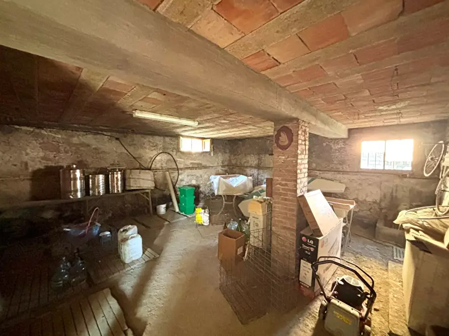 Immagine 18 di Casa indipendente in vendita  a Terricciola