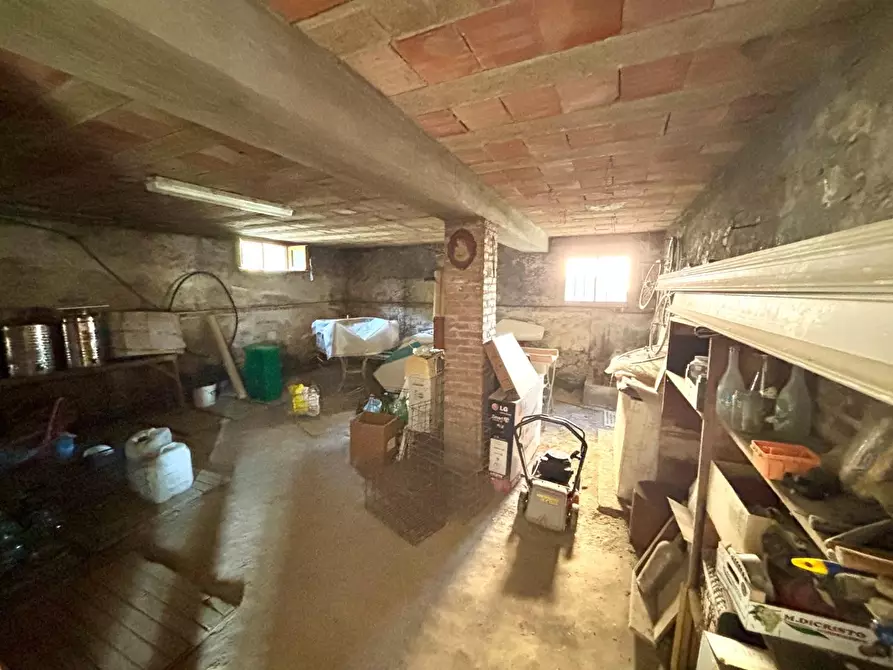 Immagine 17 di Casa indipendente in vendita  a Terricciola