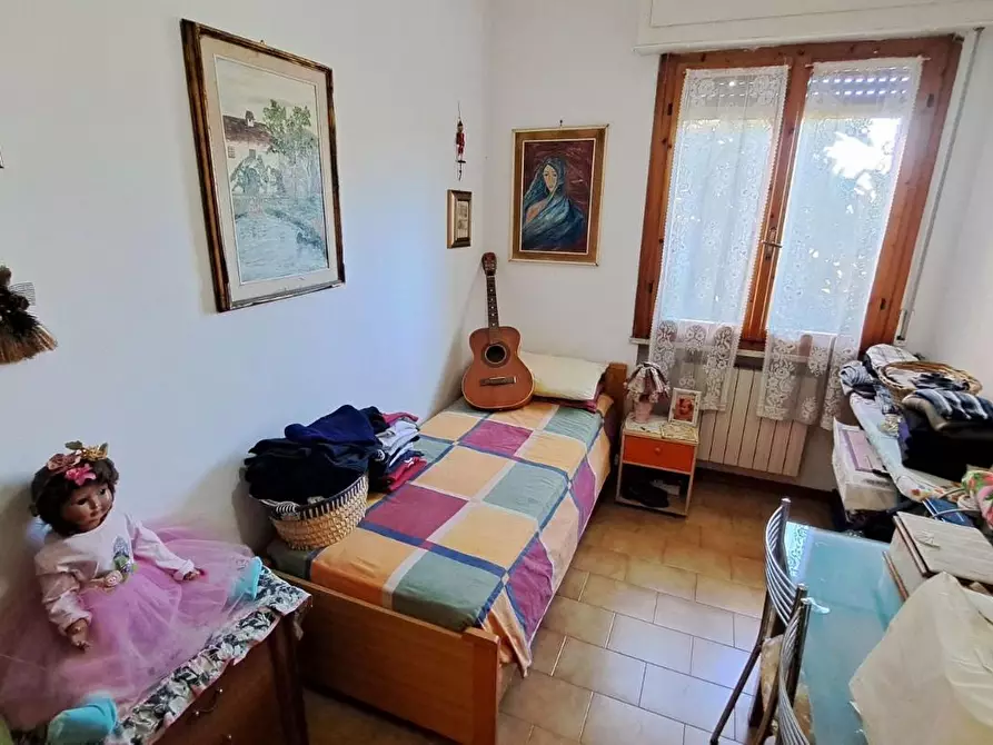 Immagine 11 di Terratetto in vendita  a Rosignano Marittimo