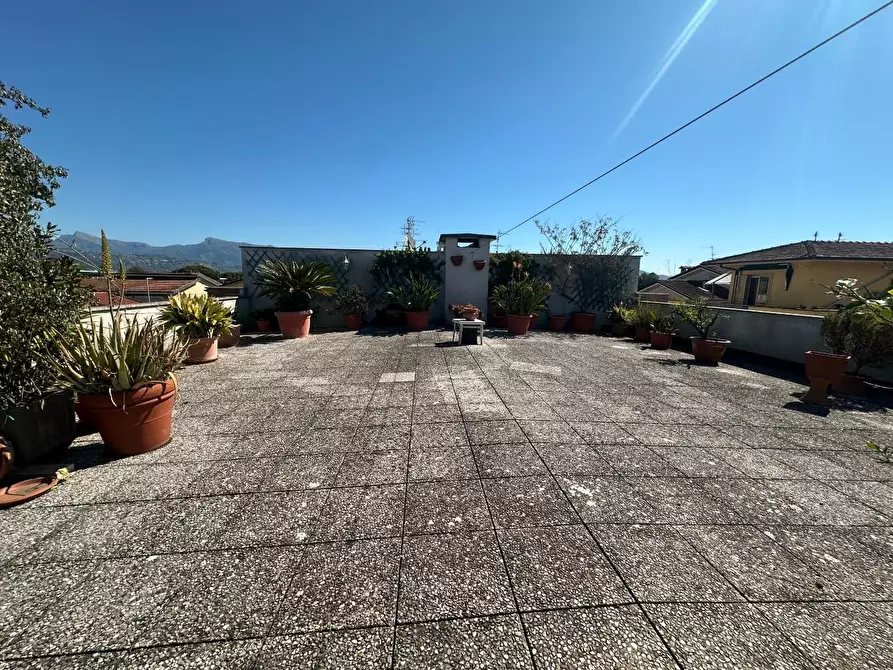 Immagine 2 di Appartamento in vendita  a Viareggio